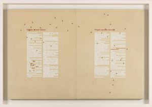 Emilio Isgrò - Giovanni e Matteo