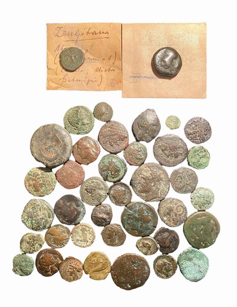 Lotto di 40 monete in bronzo del mondo greco e magno greco  - Asta Numismatica - Associazione Nazionale - Case d'Asta italiane