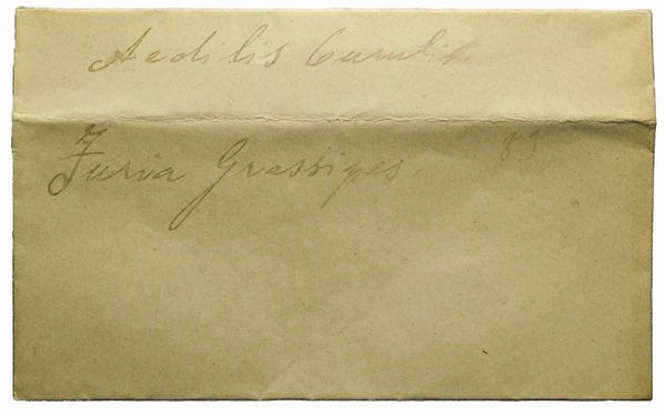 Repubblica Romana : GENS FURIA, DENARIO, Emissione: 84 a.C.  - Asta Numismatica - Associazione Nazionale - Case d'Asta italiane