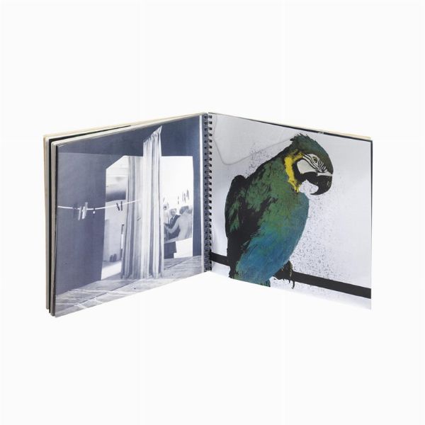 Pistoletto Michelangelo : MICHELANGELO PISTOLETTO  - Asta Arte Moderna e Contemporanea - Associazione Nazionale - Case d'Asta italiane