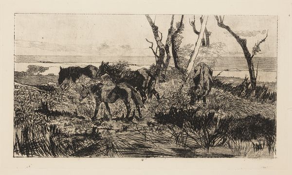 Pascolo di cavalli  - Asta Parade II - Dipinti e Disegni del XIX e XX secolo - Associazione Nazionale - Case d'Asta italiane