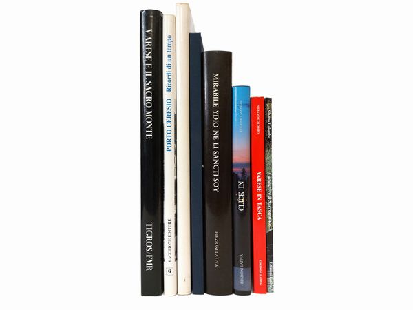 Varese: arte e territorio  - Asta Libri Antichi e Libri d'Arte - Associazione Nazionale - Case d'Asta italiane