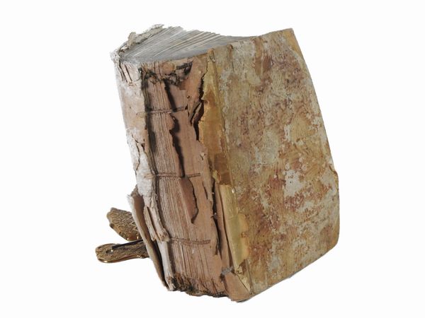 Sacra Biblia, acri studio, ac diligentia emendata...  - Asta Libri Antichi e Libri d'Arte - Associazione Nazionale - Case d'Asta italiane