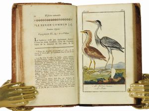 Georges Louis Buffon Leclerc, comte de : Histoire naturelle g�n�rale et particuli�re  - Asta Libri Antichi e Libri d'Arte - Associazione Nazionale - Case d'Asta italiane