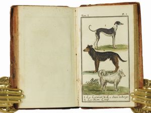 Georges Louis Buffon Leclerc, comte de : Histoire naturelle g�n�rale et particuli�re  - Asta Libri Antichi e Libri d'Arte - Associazione Nazionale - Case d'Asta italiane