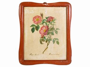 Erbario  - Asta L'Arte di Arredare - Associazione Nazionale - Case d'Asta italiane