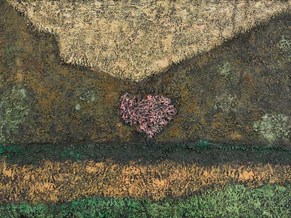 ANDREA RACCAGNI : Natura ultima  - Asta Asta di Arte Moderna e Contemporanea '800 e '900 - Associazione Nazionale - Case d'Asta italiane