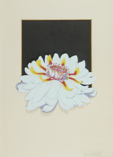 Fernando  Andolcetti : Fiore  - Asta Asta di Arte Moderna e Contemporanea '800 e '900 - Associazione Nazionale - Case d'Asta italiane