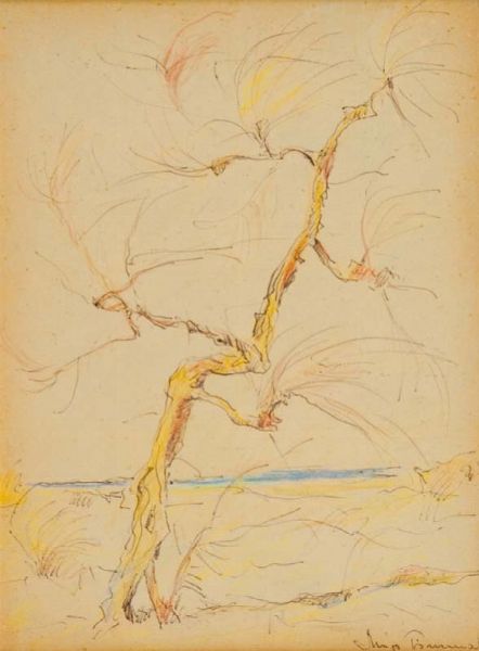 Ghigo Tommasi : Vecchia Tamerici  - Asta Asta di Arte Moderna e Contemporanea '800 e '900 - Associazione Nazionale - Case d'Asta italiane