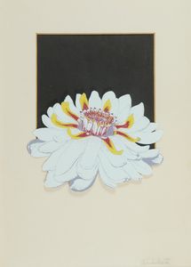 Fernando  Andolcetti - Fiore