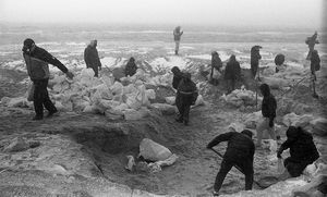Anna Golubovskaja - La statua e il cane 15 giorno dellinvasione