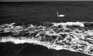 Anna Golubovskaja - La parola fine 96 giorno dellinvasione