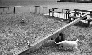 Anna Golubovskaja - La danza del destino 99 giorno dellinvasione