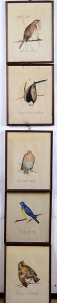 Lotto di 5 stampe a tema ornitologico  - Asta Antiquariato Luglio | Cambi Time - Associazione Nazionale - Case d'Asta italiane