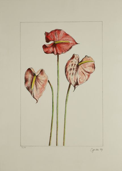 FAILLA FABIO (1917 - 1987) : Sette fiori di Failla.  - Asta Asta 372 | ARTE MODERNA E CONTEMPORANEA Virtuale - Associazione Nazionale - Case d'Asta italiane