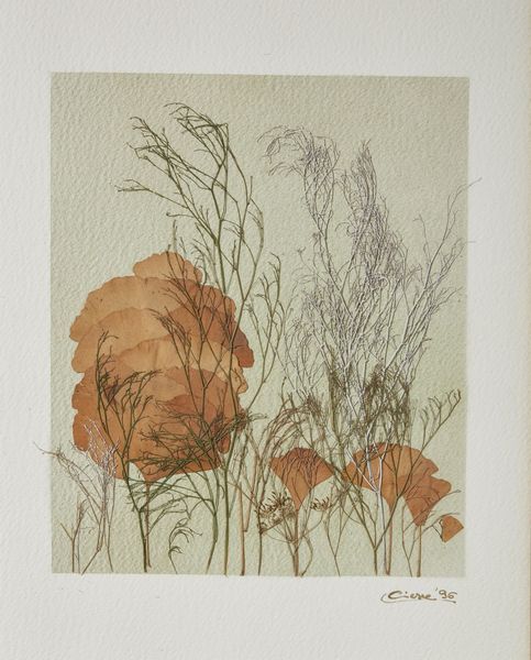 AUTORE NON IDENTIFICATO : Senza titolo.  - Asta Asta 372 | ARTE MODERNA E CONTEMPORANEA Virtuale - Associazione Nazionale - Case d'Asta italiane