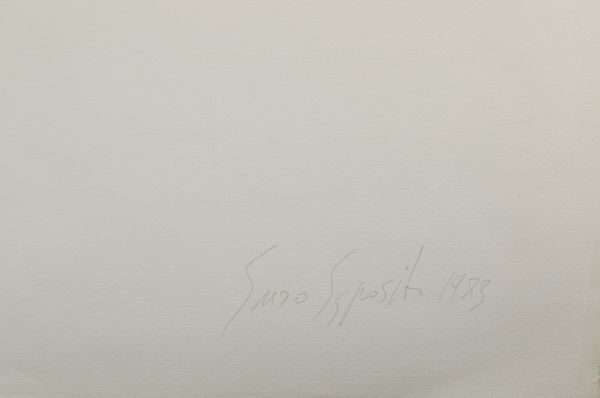 ESPOSITO ENZO (n. 1946) : Senza titolo.  - Asta Asta 372 | ARTE MODERNA E CONTEMPORANEA Virtuale - Associazione Nazionale - Case d'Asta italiane