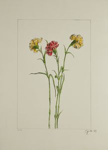 FAILLA FABIO (1917 - 1987) : Sette fiori di Failla.  - Asta Asta 372 | ARTE MODERNA E CONTEMPORANEA Virtuale - Associazione Nazionale - Case d'Asta italiane