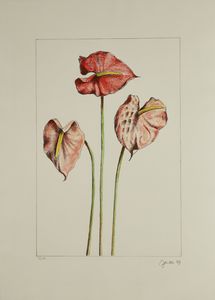 FAILLA FABIO (1917 - 1987) : Sette fiori di Failla.  - Asta Asta 372 | ARTE MODERNA E CONTEMPORANEA Virtuale - Associazione Nazionale - Case d'Asta italiane