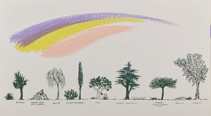 MUNARI BRUNO (1907 - 1998) - Dalla cartella: Un viale di alberi diversi.