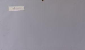 ADAMI VALERIO (n. 1935) : Senza titolo.  - Asta Asta 372 | ARTE MODERNA E CONTEMPORANEA Virtuale - Associazione Nazionale - Case d'Asta italiane