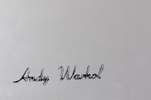 WARHOL ANDY (1928 - 1987) : (ATT.TO) Warhol Index Book (Copertina posteriore).  - Asta Asta 372 | ARTE MODERNA E CONTEMPORANEA Virtuale - Associazione Nazionale - Case d'Asta italiane