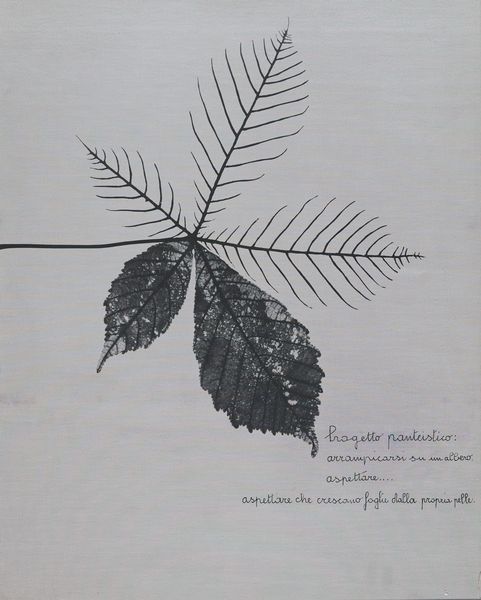 Vincenzo Agnetti : Progetto panteistico  - foglia (particolare)  - Asta Arte Moderna e Contemporanea - Associazione Nazionale - Case d'Asta italiane