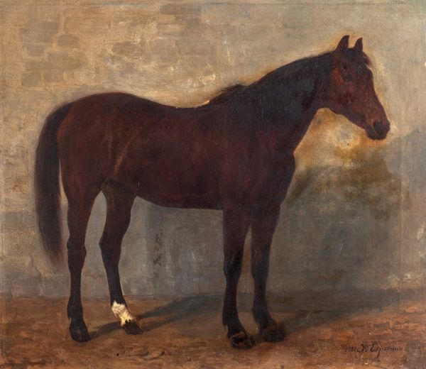 Jeanne D'Espiennes (attiva nel 1870 - 1887) : Cavallo baio  - Asta Incanti d'Arte - Associazione Nazionale - Case d'Asta italiane