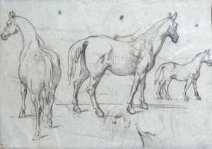 Scuola italiana, secolo XIX - Studi di cavalli