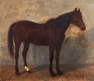 Jeanne D'Espiennes (attiva nel 1870 - 1887) - Cavallo baio