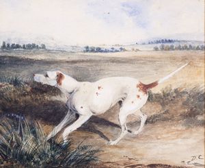 Scuola francese, secolo XIX - Cane da ferma