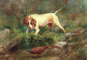 Vittorio Cajani - Caccia al fagiano