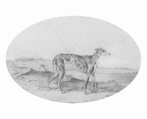 Scuola francese, secolo XIX - Levriero