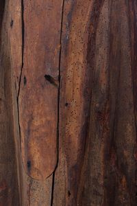 Scultura in legno policromo raffigurante santo, Italia settentrionale secolo XIV  - Asta Incanti d'Arte - Associazione Nazionale - Case d'Asta italiane