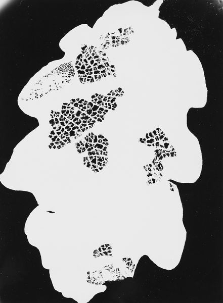 Emilio Fabio Simion : Fotogramma  - Asta Fotografia - Associazione Nazionale - Case d'Asta italiane