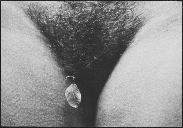 Peeter Tooming : Leaves III  - Asta Fotografia - Associazione Nazionale - Case d'Asta italiane