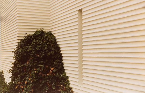 Anne van Horenbeeck : Dalla serie Chambres et Jardins  - Asta Fotografia - Associazione Nazionale - Case d'Asta italiane