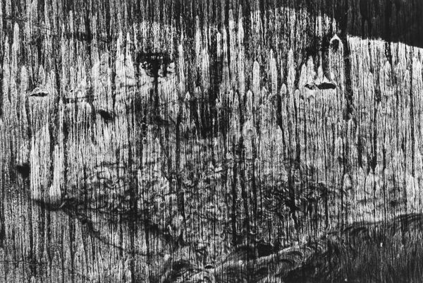 Caroline Feyt : Senza titolo  - Asta Fotografia - Associazione Nazionale - Case d'Asta italiane