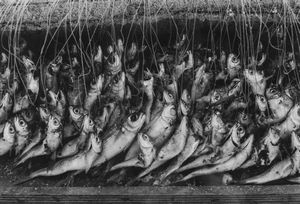 Jean Jacques Touati - Israel