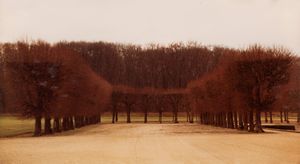 Anne van Horenbeeck - Dalla serie Chambres et Jardins