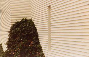 Anne van Horenbeeck - Dalla serie Chambres et Jardins