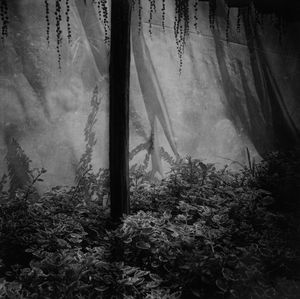 Cayetano Arcidiacono - Senza titolo