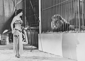 Osvaldo Civirani - Mitzi Gaynor in Follie dell'anno di Walter Lang