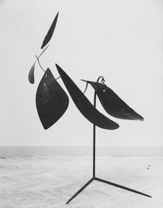 Studio Ferruzzi - Alexander Calder, Cinque Foglie