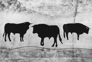 Caroline Feyt - Senza titolo