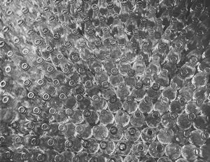 Vincenzo Flore - Enoteche