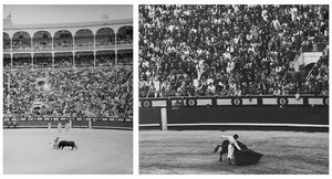 Vittorio Garatti, Attribuito a - Senza titolo (Corrida)