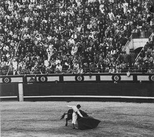 Vittorio Garatti, Attribuito a : Senza titolo (Corrida)  - Asta Fotografia - Associazione Nazionale - Case d'Asta italiane