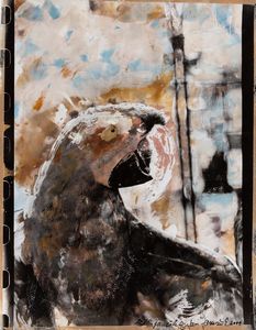 Jan Janousek - Papousek