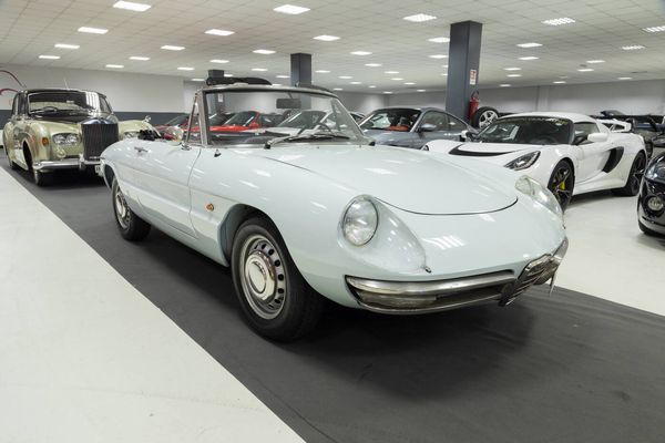 Alfa Romeo : Spider Duetto Osso di Seppia - 1967  - Asta Automobili - Associazione Nazionale - Case d'Asta italiane